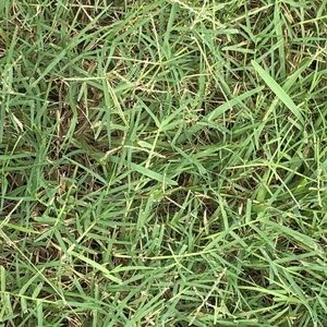 Meet your Posher, Vanda